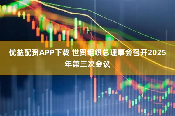 优益配资APP下载 世贸组织总理事会召开2025年第三次会议