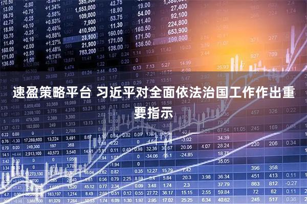 速盈策略平台 习近平对全面依法治国工作作出重要指示